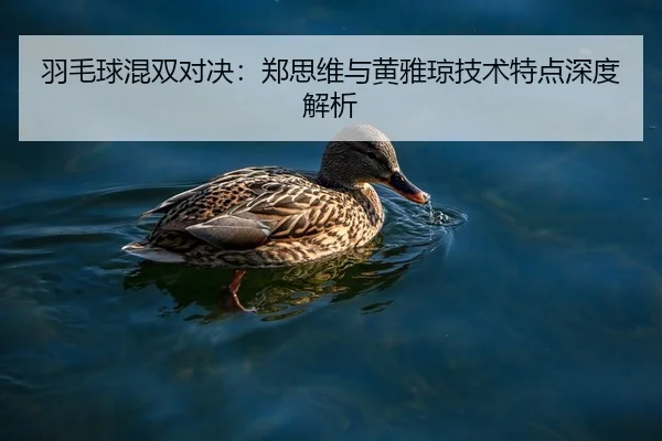 羽毛球混双对决：郑思维与黄雅琼技术特点深度解析